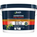 Cementone Fire Cement 500g