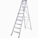 Werner Mastertrade Swingback Stepladder 10 Tread