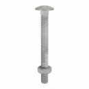 Carriage Bolt & Hex Nut HDG M8 x 50mm