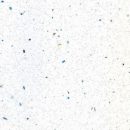 Oasis PF Worktop White Sparkle Gloss