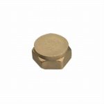 Blanking Cap Brass 1in