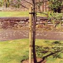 Grange Tree Pole 1.8mtr