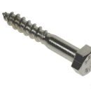 Coach Screw A2 Stainless Steel M10x80mm