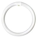 Bell Circular Triphosphor Tube T9 40watt – 4000k